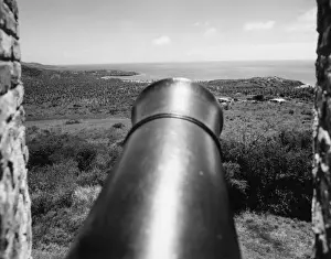 Tobago Cannon