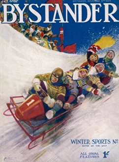 Toboggan or bobsleigh ride