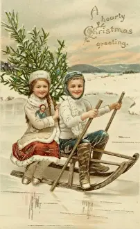 Toboggan Prints: Tobogganing with Tree