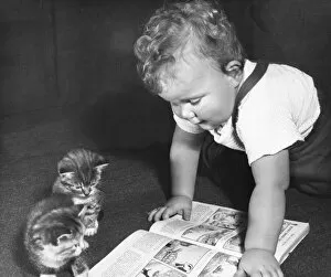 Toddler and kittens reading a picture book