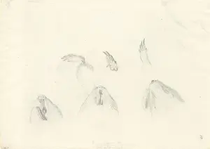 Resolution Prints: Tofer capensis