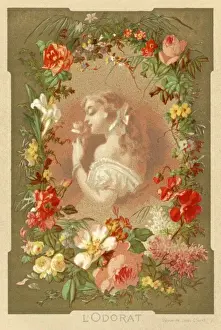 Sniffing Prints: Toilet / Perfume L odorat