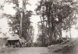 Tokaido Raod, Kyoto to Tokyo, Beato studio, Japan, 1860 s