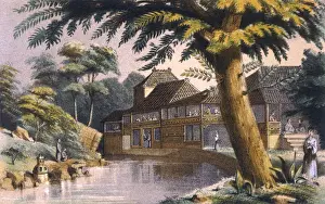 Tokyo / Tea Gardens 1858
