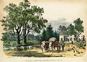 Images Dated 26th May 2011: Toll - Gate, Jamaica, Long Island