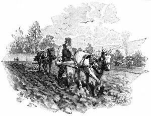 Tolstoy Collection: Tolstoy Plowing