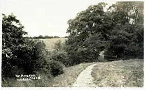 Tom Knocker's Wood - Harborne, south-west Birmingham