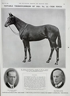 Archibald Collection: Tom Pinch, Racehorse