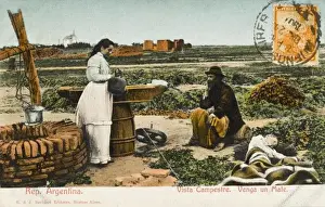 Tomando Mate - Argentina