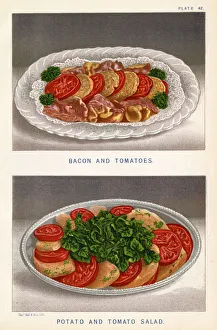 Images Dated 29th March 2018: TWO TOMATO DISHES