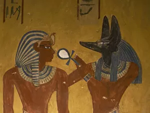 Anubis Gallery: Tomb of Menjeperura or Thutmose IV. The pharaoh received by