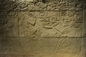 Tomb relief depicting a butchering scene. Egypt