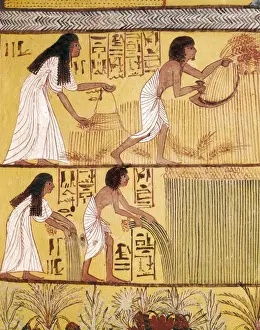 Tomb of Sennedjem. 1306 -1290 BC. EGYPT. Dayr