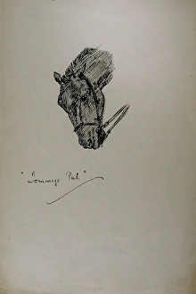 Images Dated 7th May 2009: Tommys Pal