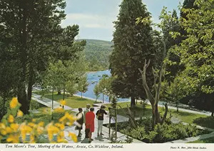 Waters Prints: Tom(Thomas) Moores Tree, Meeting of the Waters, Avoca