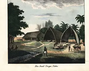 Ethnography Prints: Tongatabu (Tongatapu) island in the kingdom of Tonga
