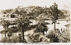 Brisbane Prints: Toorak Hill from Newstead Park, Brisbane, Australia