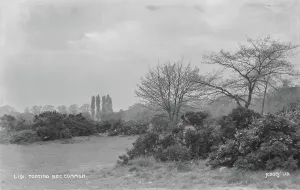 Dense Prints: Tooting Bec Common