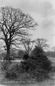 Surroundings Prints: On Tooting Bec Common