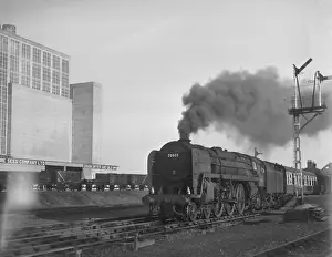 Torbay Express steam train