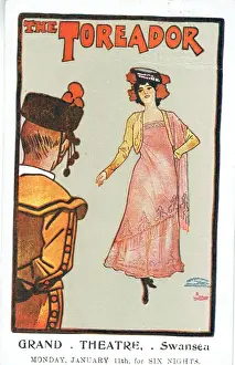 The Toreador by James T Tanner