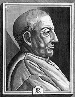 Torellus Sarayna