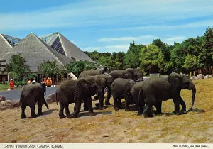 Toronto, Ontario, Canada - Metro Toronto Zoo