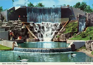 Toronto, Ontario, Canada - Metro Toronto Zoo