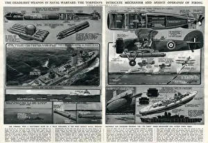 Torpedo in naval warfare by G. H. Davis