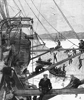 Hung Prints: Torpedo Nets