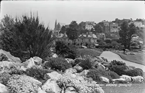 Torre Prints: Torre Abbey Gardens