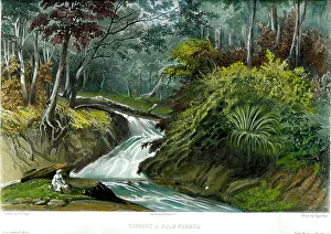 Vaillant Prints: Torrent At Pulo, Penang