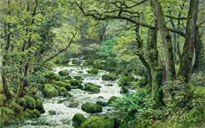 Cascade Prints: Torrent Walk, Dolgellau, Gwynedd, NW Wales