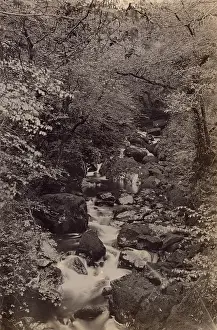 Cascade Prints: Torrent Walk, Dolgellau, North Wales Date: circa 1889