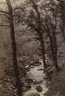 Cascade Prints: Torrent Walk, Dolgellau, North Wales Date: circa 1889