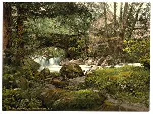 Torrent Walk I, Dolgelly (i. e. Dolgellau), Wales