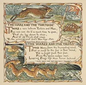 Tortoise and Hare