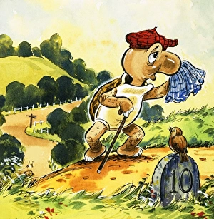 Images Dated 17th May 2007: Tortoise takes a walk in the country