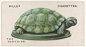 Talismans Prints: Tortoise Talisman