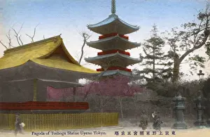 Ueno Prints: The Tosho-gu Shrine at Ueno Park in Tokyo, Japan
