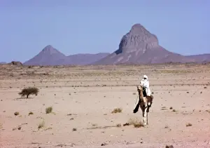 Vast Prints: Touareg and Camel Sahara Desert
