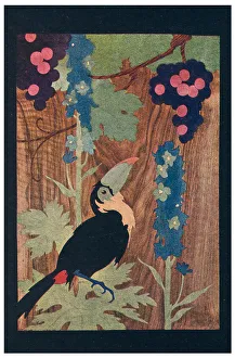Array Prints: Toucan With Flowers