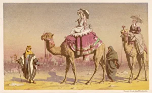 Tourists on Camels