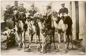 Images Dated 4th July 2011: Tourists on camels - Egypt