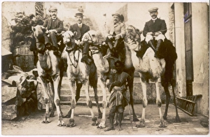 Camel Gallery: Tourists on camels - Egypt