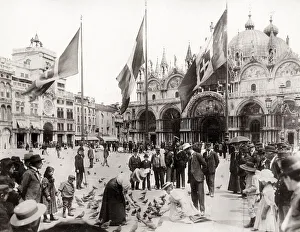 Tourists feeding pigeons in St Marks Square, Venice, Italy