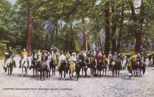 Mule Collection: Tourists setting out, Yosemite Valley, California, USA