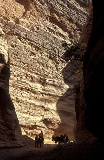 Tourists transport to Petra, Jordan