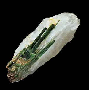 Cyclosilicate Prints: Tourmaline