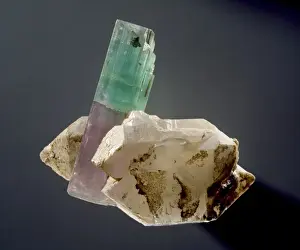 Cyclosilicate Prints: Tourmaline crystal
